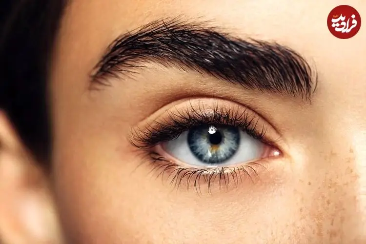 چرا ابرو داریم؟