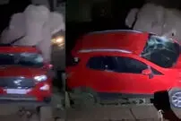 ببینید| فیل در جستجوی انبه یک خودرو را واژگون کرد