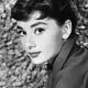 آدری هپبورن مهر ۱۳۴۶: در جنگ روزی دو بار با نان و شلغم پخته شکم‌مان را سیر می‌کردیم