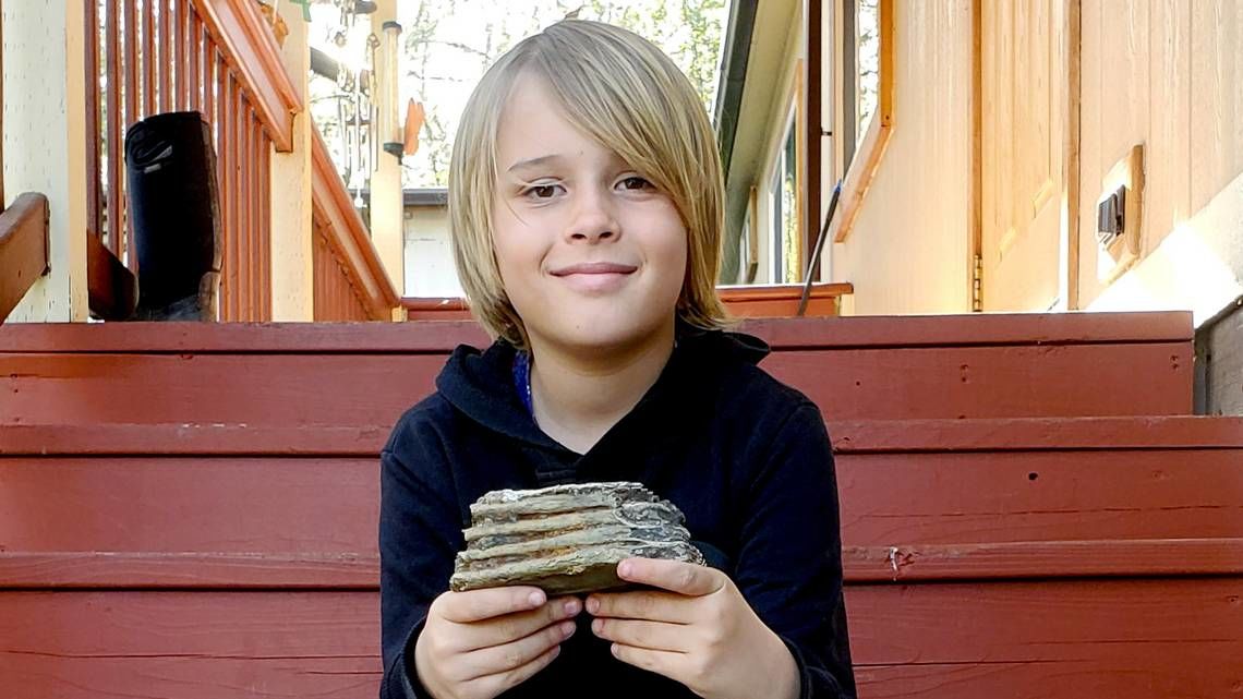 (تصاویر) پسر ۹ ساله‌ موقع بازی یک دندان ۱۰ هزار ساله پیدا کرد!