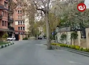 ببینید؛ یک قاب از خیابان فرشته تهران که خیلی حرف‌ها برای گفتن دارد!