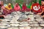 ببینید| غذای روستایی در بنگلادش؛ پخت یک غذای محلی با 70 کیلوگرم ماهی تیلاپیا
