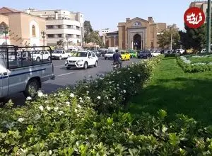 عکس| سفر به ایران قدیم؛ بانک شاهی در میدان توپخانه؛ 125 سال قبل