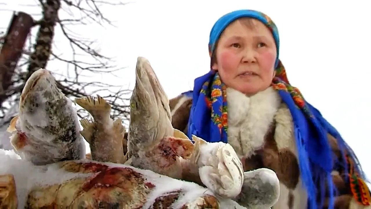 (ویدئو) نمایی از زندگی عشایر قطب شمال؛ از تهیه هیزم و آب تا نگهداری مواد غذایی