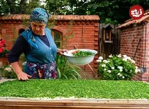 ببینید| غذای روستایی در آذربایجان؛ پخت نان سنتی با پیازچه به سبک مادربزرگ روستایی