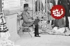 عکس| سفر زمان؛ دختر ناصرالدین‌شاه در حال نوازش اسب؛ بیش از یک قرن قبل