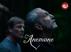 نقد فیلم Anemone؛ بازگشتِ کم فروغِ پادشاه