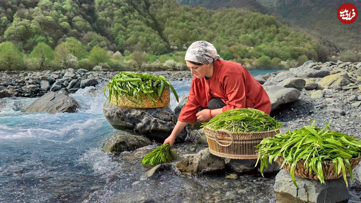 ببینید؛ غذای روستایی در آذربایجان؛ برداشت پیازچه وحشی از جنگل و تهیه سس با آن