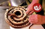 (ویدئو) غذای خیابانی عجیب در ژاپن؛ طبخ غذا با کلاغ و مار به روش آشپز مشهور