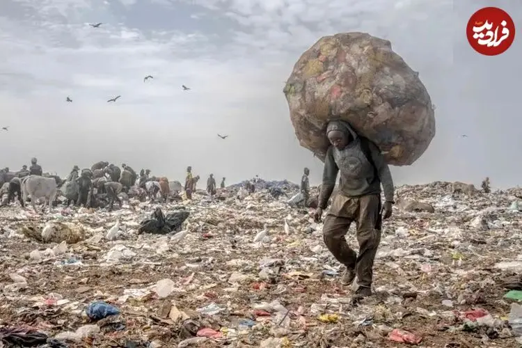 برندگان جایزۀ 67 هزاردلاری عکاسی؛ از «زباله‌گردها» تا «ساحل آلودۀ خزر»