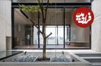 تصاویر؛ معماری پیشرفته و دیدنی یک خانه/دفتر کار