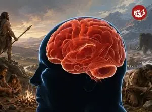 مورد عجیب کاهش وزن؛ چرا مغز می‌خواهد شما را چاق نگه دارد؟