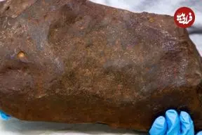 سنگی که تصور می‌شد «طلا» باشد، چیزی بسیار کمیاب‌تر از طلا از آب درآمد