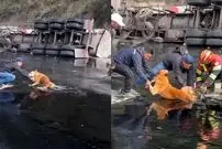 ببینید| نجات یک سگ گرفتار در قیر پس از واژگونی کامیون