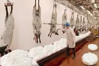 (ویدئو) ببینید انگلیسی ها با پشم گوسفند چه محصولات شگفت انگیزی در کارخانه تولید می کنند!