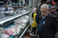 جدول؛ قیمت گوشت مرغ امروز جمعه ۳۱ مرداد ۱۴۰۴؛ سینه مرغ چند؟