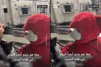 (ویدئو) داستان عجیب نجات یک خرس عروسکی از دو جنگ در غزه