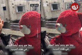 (ویدئو) داستان عجیب نجات یک خرس عروسکی از دو جنگ در غزه