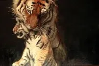 تصاویر؛ زیباترین «نقاشی‌های حیات وحش» در سال 2025 که برندۀ جایزه شدند