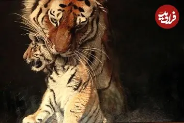 تصاویر؛ زیباترین «نقاشی‌های حیات وحش» در سال 2025 که برندۀ جایزه شدند