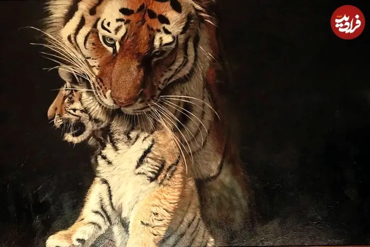 تصاویر؛ زیباترین «نقاشی‌های حیات وحش» در سال 2025 که برندۀ جایزه شدند