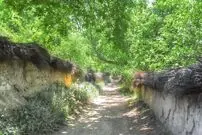 عکس؛ کار جالب و قابل تحسین باغ دار شیرازی