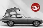 تصاویر؛ تبلیغات جگوار با جگوار!