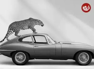 تصاویر؛ تبلیغات جگوار با جگوار!