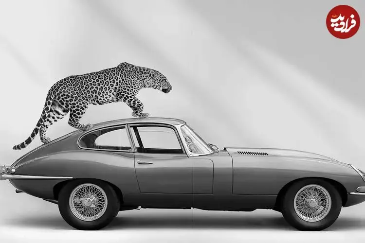 تصاویر؛ تبلیغات جگوار با جگوار!