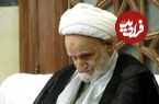 عکس؛ سفر در زمان؛ «آیت الله بهجت در کنار پسرش علی بهجت»؛ دهه 80