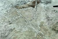 شواهدی از وجود وسایل نقلیه در ماقبل تاریخ