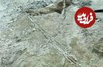 شواهدی از وجود وسایل نقلیه در ماقبل تاریخ