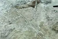 شواهدی از وجود وسایل نقلیه در ماقبل تاریخ