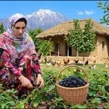 ببینید| غذای روستایی در ایران؛ پخت خورشت قیمه، برداشت تمشک و تهیه کیک و مربا با آن
