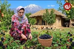 ببینید| غذای روستایی در ایران؛ پخت خورشت قیمه، برداشت تمشک و تهیه کیک و مربا با آن
