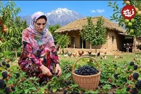 ببینید| غذای روستایی در ایران؛ پخت خورشت قیمه، برداشت تمشک و تهیه کیک و مربا با آن