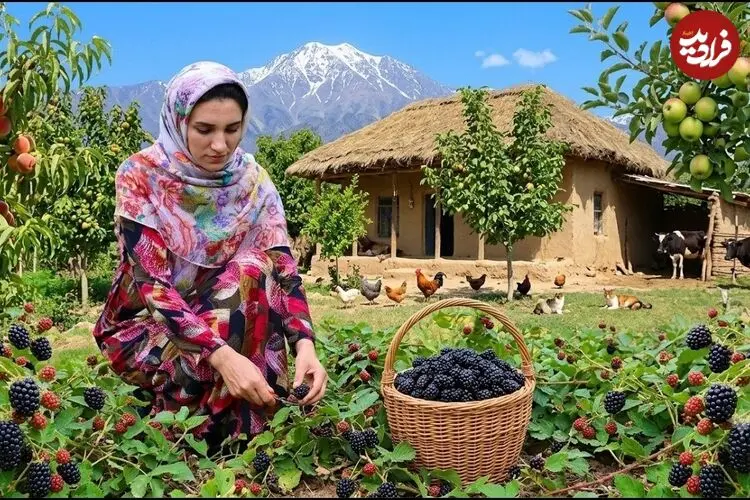 ببینید| غذای روستایی در ایران؛ پخت خورشت قیمه، برداشت تمشک و تهیه کیک و مربا با آن