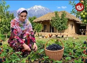 ببینید| غذای روستایی در ایران؛ پخت خورشت قیمه، برداشت تمشک و تهیه کیک و مربا با آن