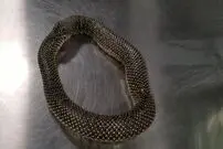 (ویدئو) شاه مار حواس پرت خودش را بلعید!