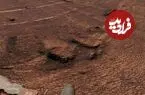 کشف جدید مریخ‌نورد کنجکاوی؛ میدانی از اَشکال چندضلعی در مریخ