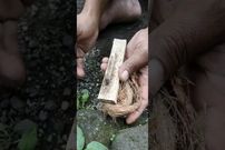 (ویدئو) یک روش ساده و باستانی برای روشن کردن آتش بدون کبریت