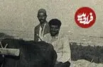 عکس| سفر زمان؛ خرمن‌کوبی در زرگنده؛ وقتی «شمال تهران» پر از باغ و مزرعه بود