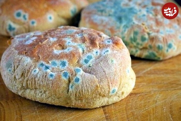 نتایج یک مطالعه جدید درباره کپک خانگی همه را غافلگیر کرد!