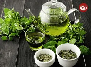 نوشیدنی سبز محبوب که التهاب بدن را کاهش می‌دهد