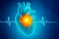 کشف شگفت انگیز جدید: بازسازی عضلات قلب پس از حمله قلبی