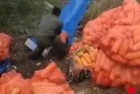 (ویدئو) ترفندهای بامزه و جالب در هنگام کار