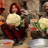ببینید| غذای روستایی در افغانستان؛ پخت یک غذای سنتی با گل کلم توسط زوج افغان