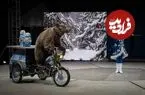 عکس‌های برگزیدۀ حیات وحش در سال 2026