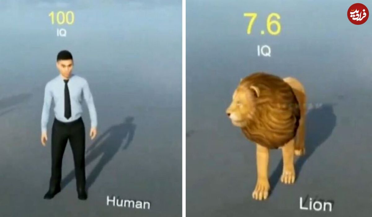 (ویدئو) مقایسه بهره هوشی انسان با سایر حیوانات