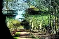 بگوئید اول چه چیزی را دیدید تا بگوییم چقدر تلاش می کنید تا بقیه در آسایش باشند